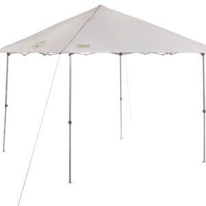 Gray Coleman 10x10 Instant Sun Shelter